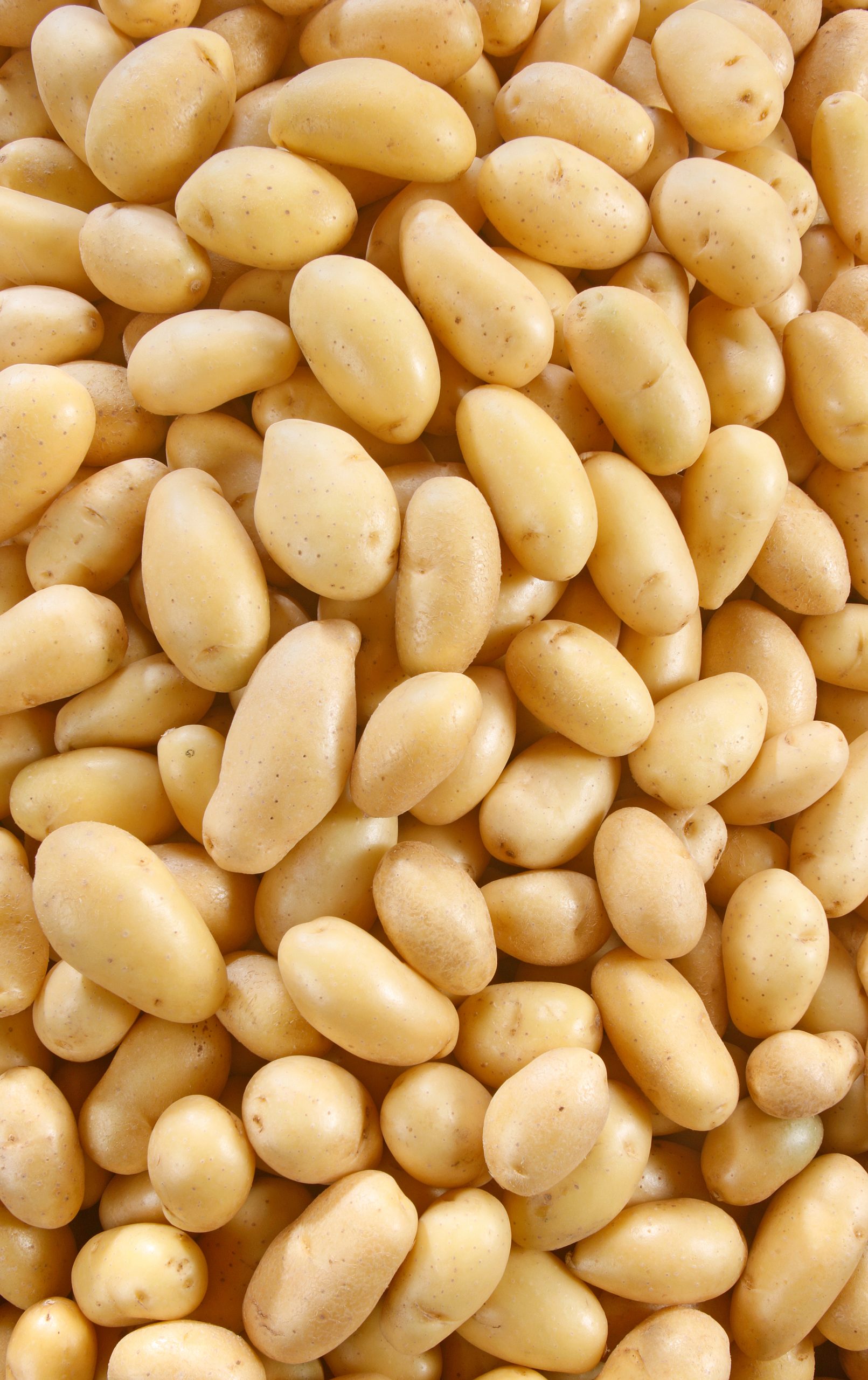 Pommes de terre Grenaille