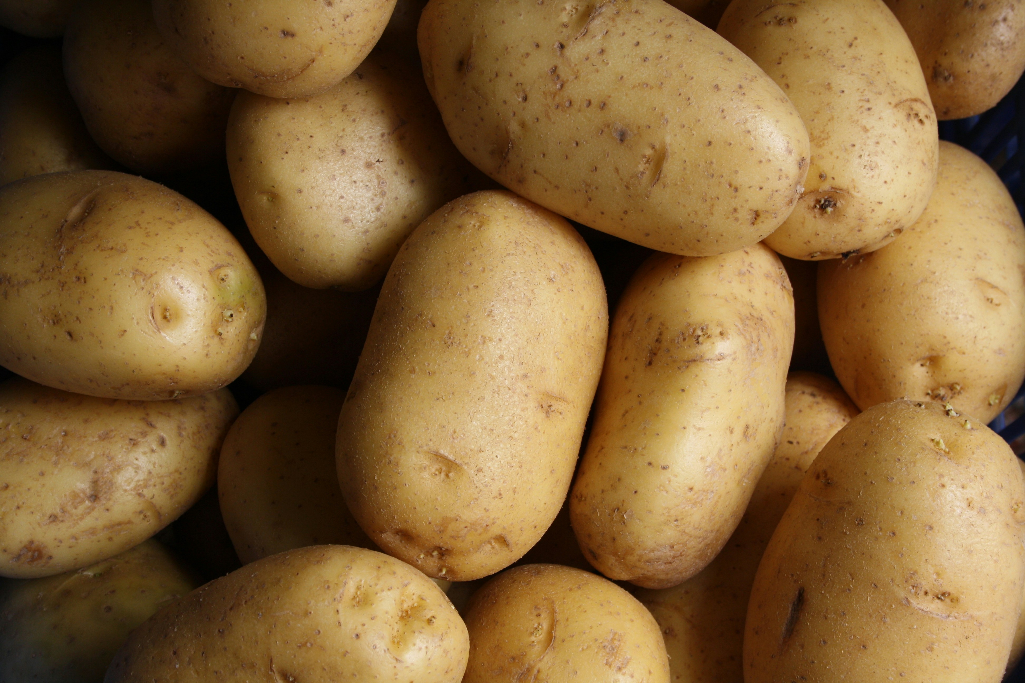 Pommes de terre Classiques